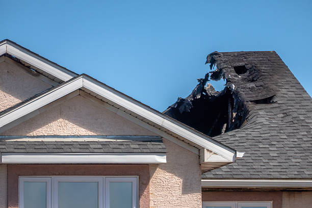 Licensed Board Up Services service in Clearwater, FL - Fire Damage Laser Cleaning